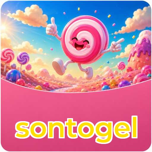 sontogel APK Structure
