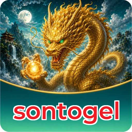 sontogel Features