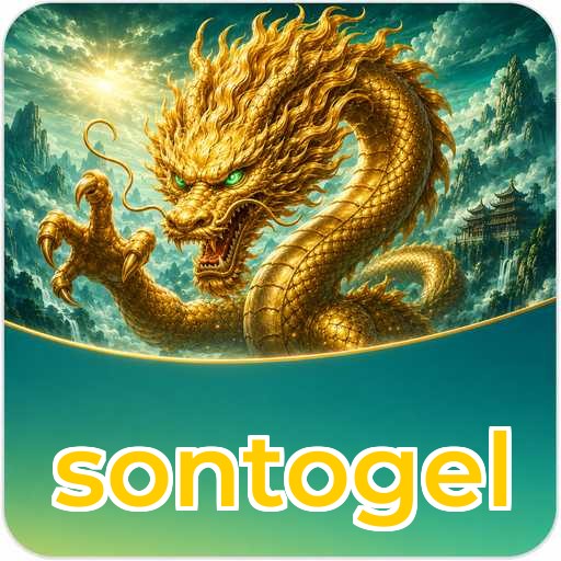 sontogel Technical Info