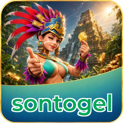sontogel Technical Info