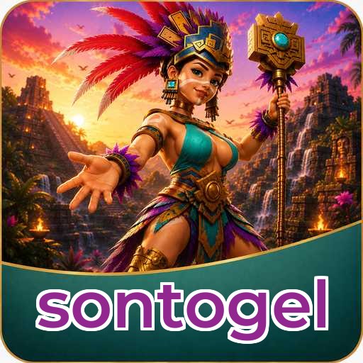 sontogel Components