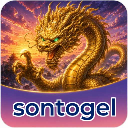 sontogel Tools