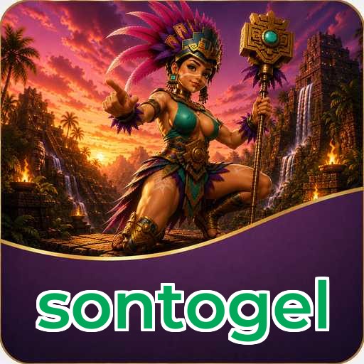 sontogel Tools