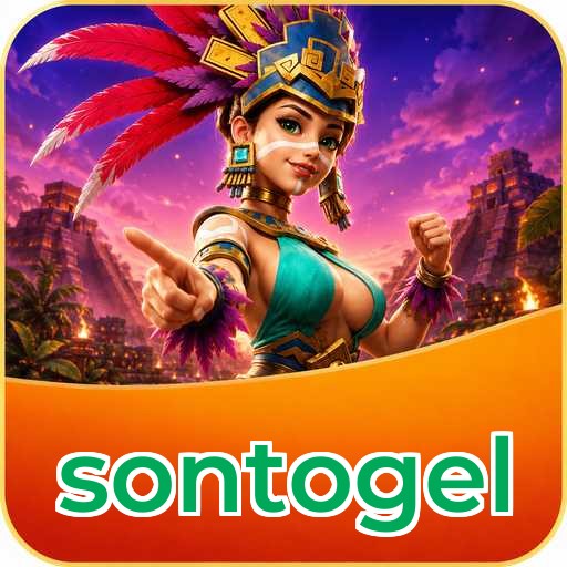 sontogel APK Structure