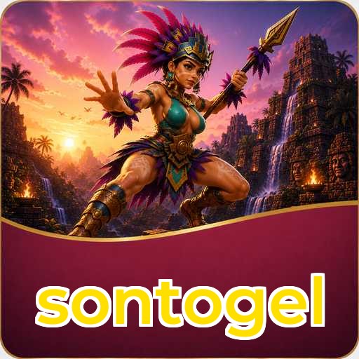 sontogel Components