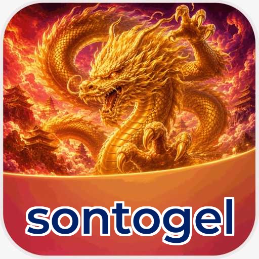 sontogel Components