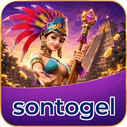 sontogel APK Structure