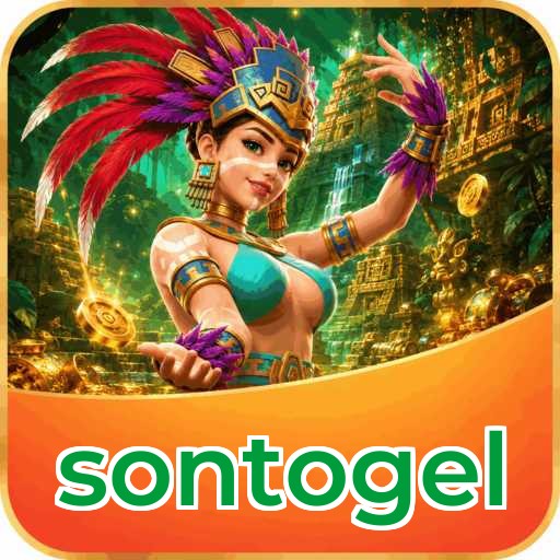 sontogel Technical Info