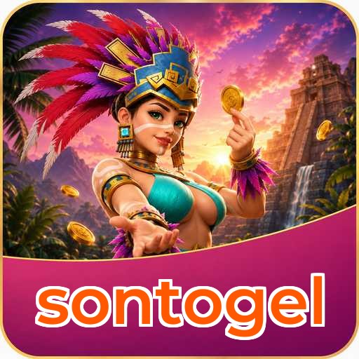 sontogel Tools