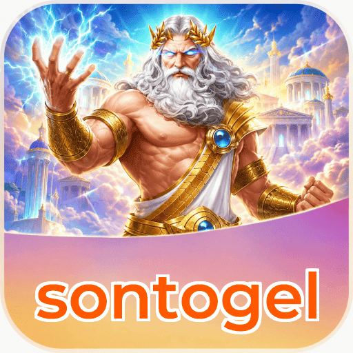 sontogel Components