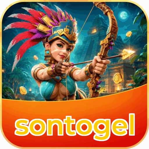 sontogel APK Structure