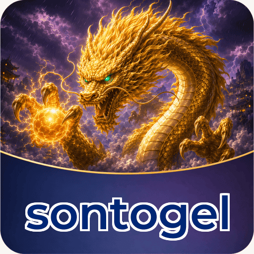sontogel APK Structure